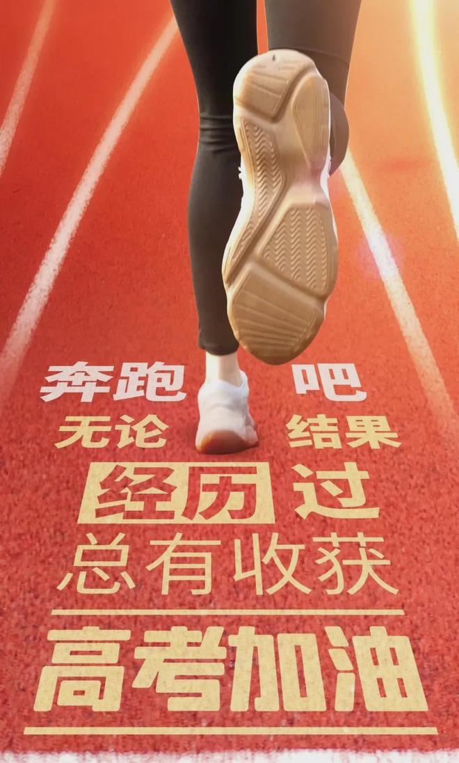 罗马主场大捷，成功晋级成为黑马的简单介绍